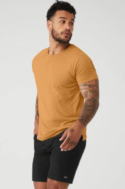 The Triumph Crew Neck Tee - Toffee -Attire Mew Sales M1133R 04568 b1 s3 a3 1 m130
