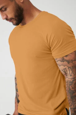 The Triumph Crew Neck Tee - Toffee -Attire Mew Sales M1133R 04568 b1 s3 a5 1 m130