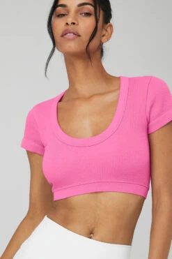 Seamless Ribbed Cropped Serene Short Sleeve - Paradise Pink 14 Seamless Ribbed Cropped Serene Short Sleeve - Paradise Pink -Attire Mew Sales W1423R 04828 b1 s1 a4 2 m18